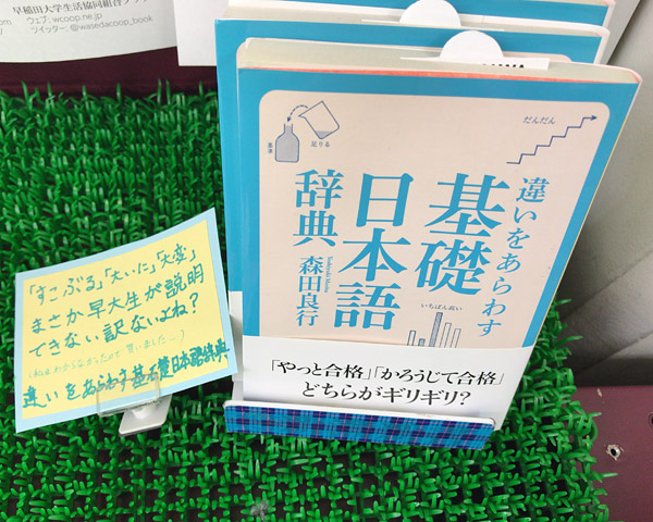違いをあらわす「基礎日本語辞典」(角川ソフィア文庫)
